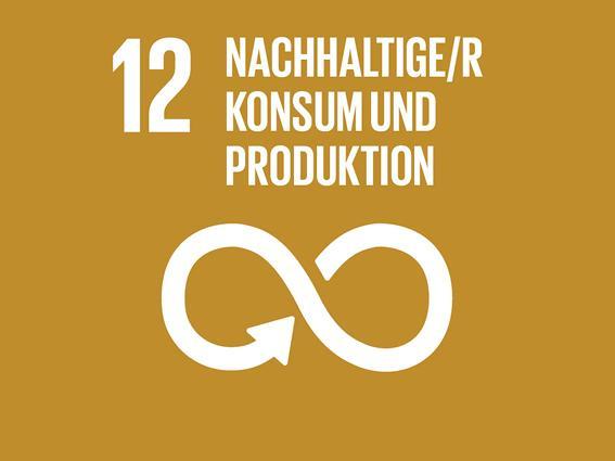 SDG Ziel 12: Nachhaltige/r Konsum und Produktion 