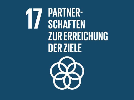 SDG Ziel 17: Partnerschaften zur Erreichung der Ziele 