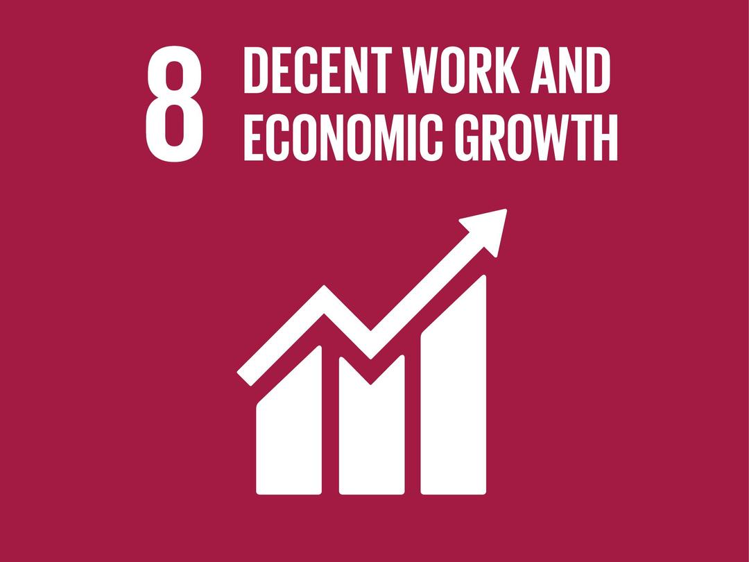 SDG Goal 8: Decent Work and Economic Growth