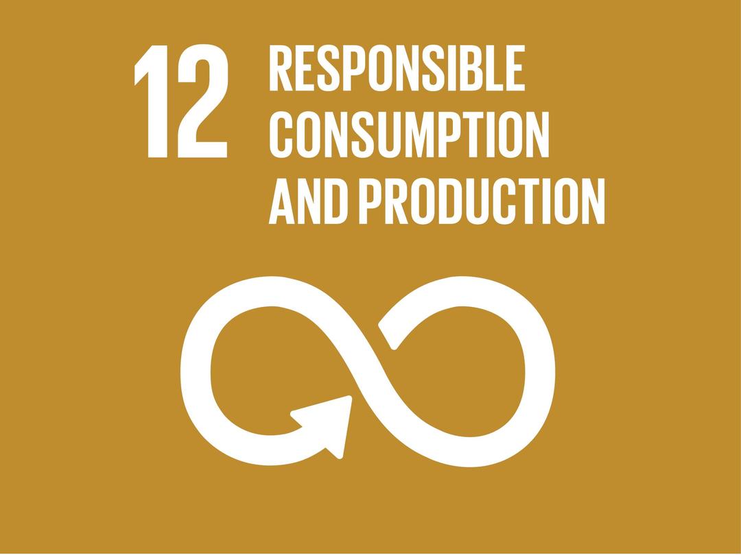 SDG Goal 12: Responsible Consumption and Production