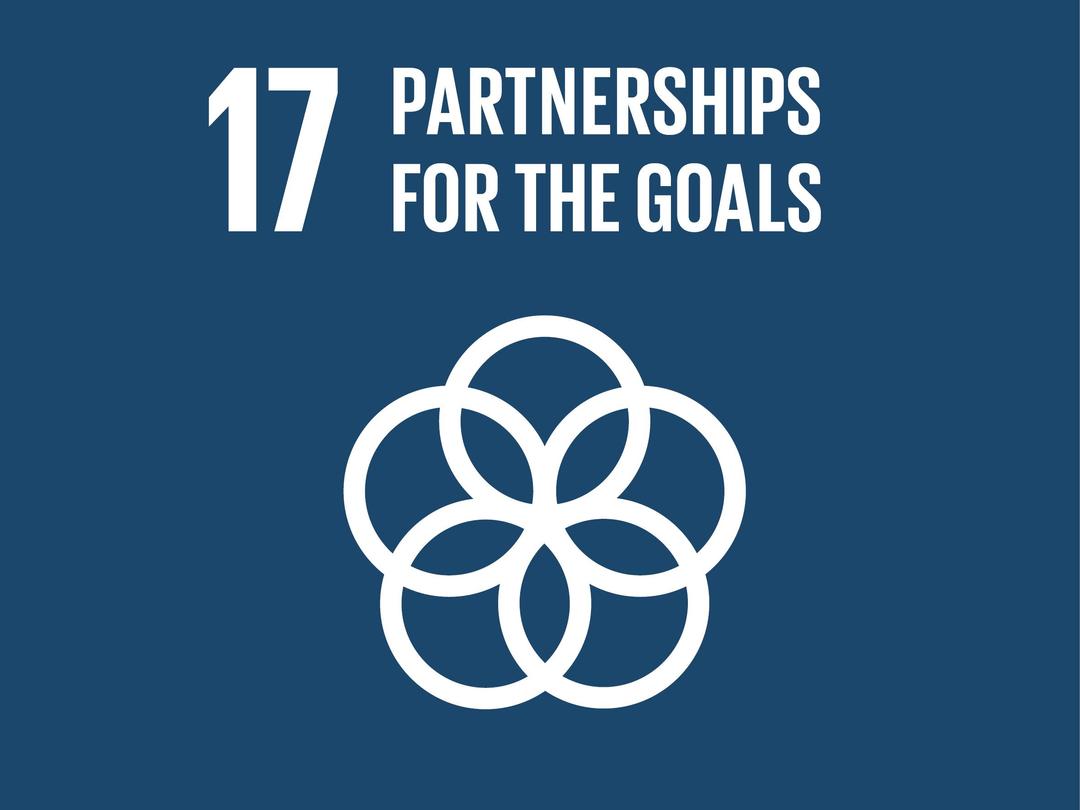 SDG Goal 17: Partnerships for the Goals