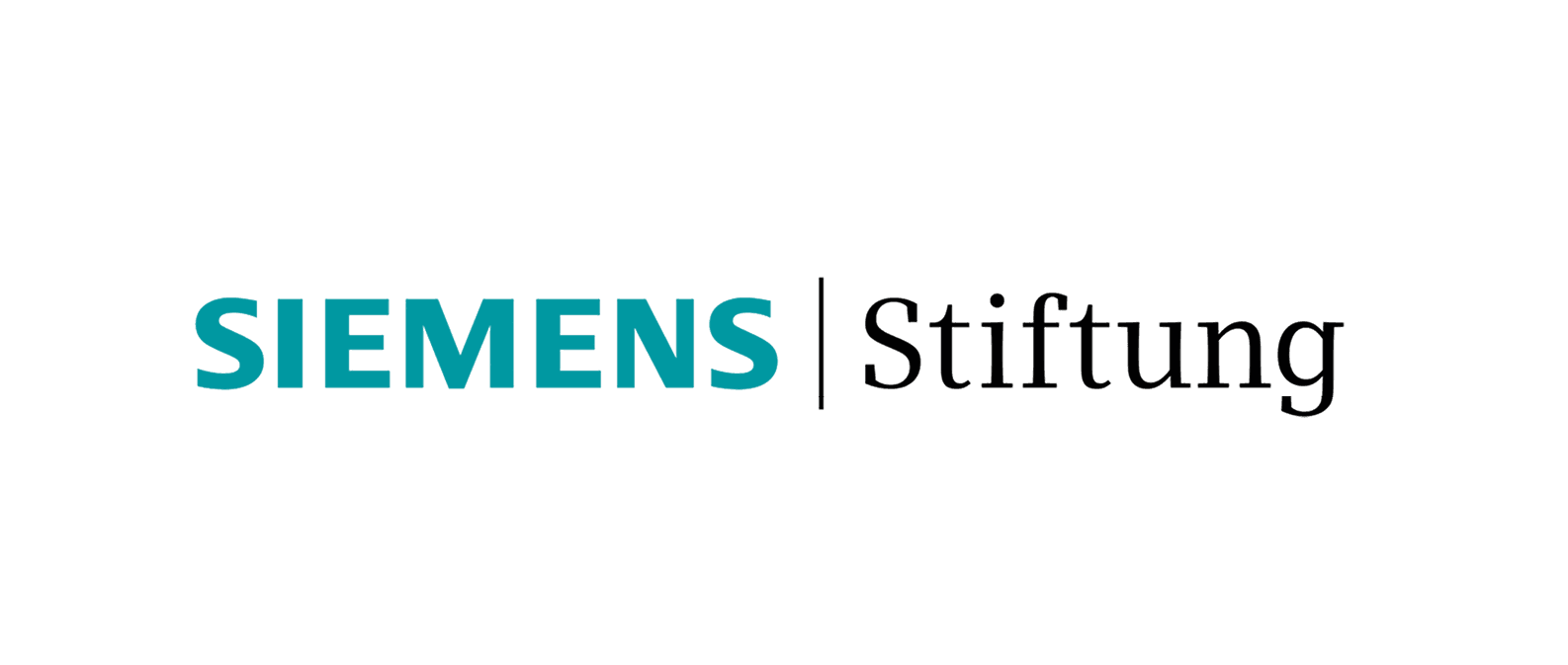 Logo der Siemens Stiftung